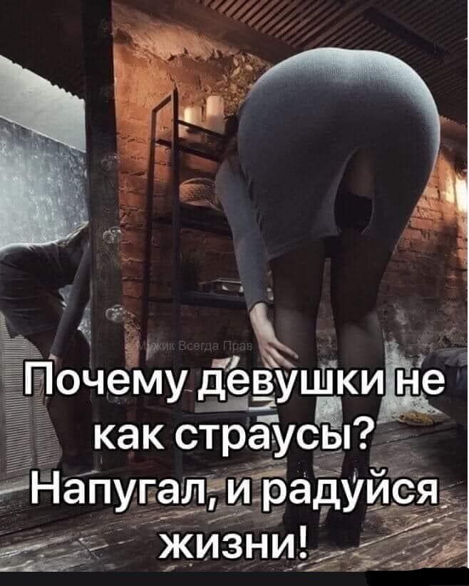 как страусЁп чёт _ Напугал и радуисяЁ к 55 жизни