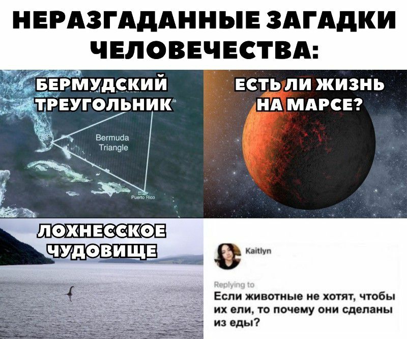НЕРАЗГАДАННЫЕ ЗАГАДКИ ЧЕЛОВЕЧЕСТВА есть ли жизнь НА МАРСЕ ПХНЕССКОЕЕ Если животные не хотят чтобы их ели то почему они сделаны из еды
