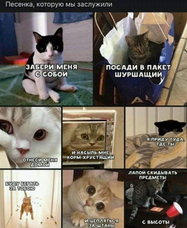 Песенка которую мы заслужили и ндс ппц мир м пспшии 1 х ЛДПОИ СКИДМЦТ ПЕАМЕТЫ