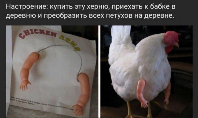 Настроение купить эту херню приехать к бабке в деревню и преобразить всех петухов на деревне и