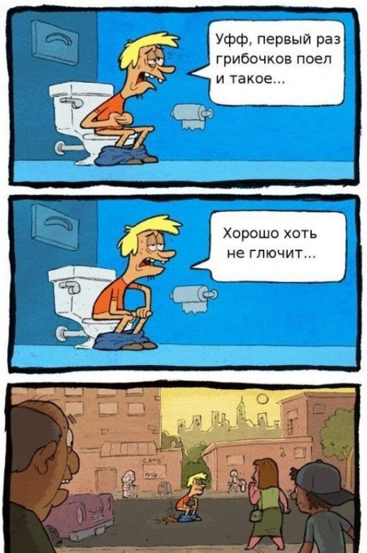 Уфф первый раз грибочков поел и такое Хорошо хоть не глючит