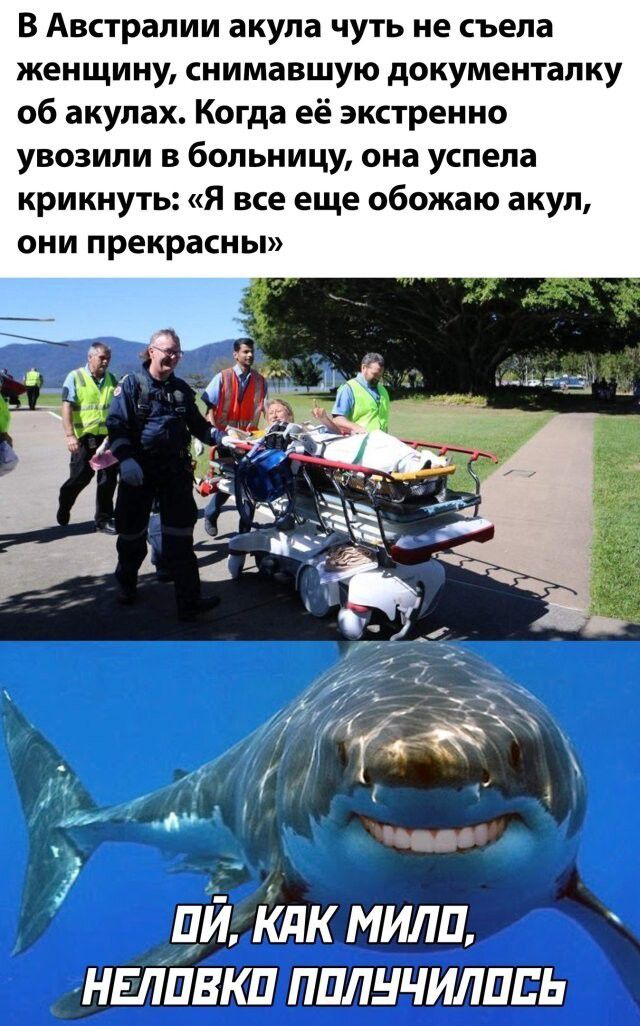 В Австралии акула чуть не съела женщину СНИМЗВШУЮ документалку об акулах Когда её экстренно увозили в больницу она успела крикнуть Я все еще обожаю акул они прекрасны цй Кпк мили нвлпвкп пплнчилппь