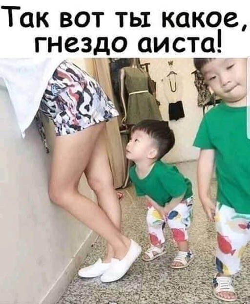 Так вот ты какое гнездо аиста