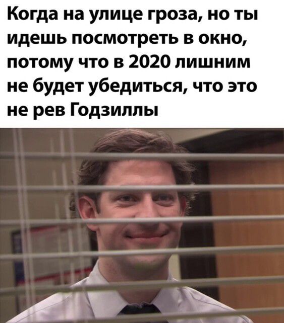 Когда на улице гроза но ты идешь посмотреть в окно потому что в 2020 лишним не будет убедиться что это не рев Годзиллы