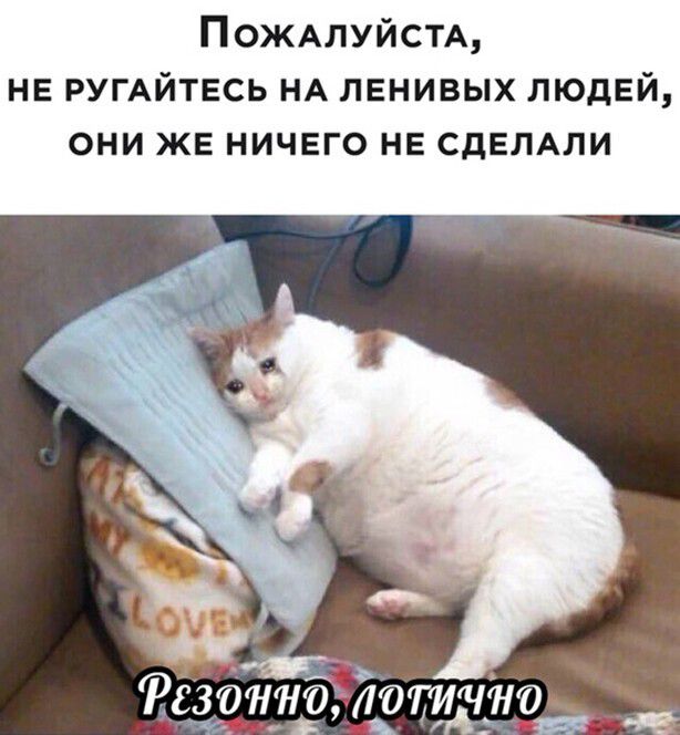 ПОЖАЛУЙСТА не РУГАЙТЕСЬ НА ленивых людей они ЖЕ ничего нв СДЕЛАЛИ 7383011116 лотчію _