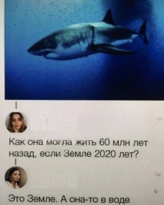 Как она мос ла жигь 60 млн лет ніазад если Земле 2020 лет Это Земле А онато в воде