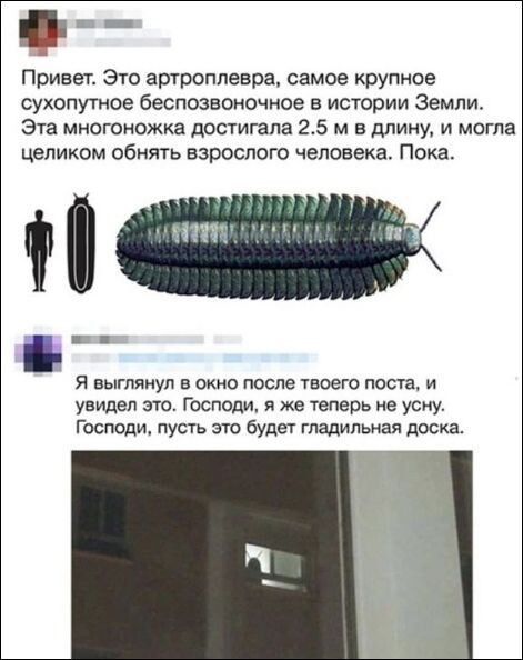 ш Привет Это артроппевра самое крупное Сухопутное беспозвоночное в истории Земли Эта многоножка достигала 25 м в длину и могла целиком обнять взрослого человека Пока я выглянул в окно после твоего поста и увидел это Господи я же теперь не усну господи пусть 310 будет гладильная доска