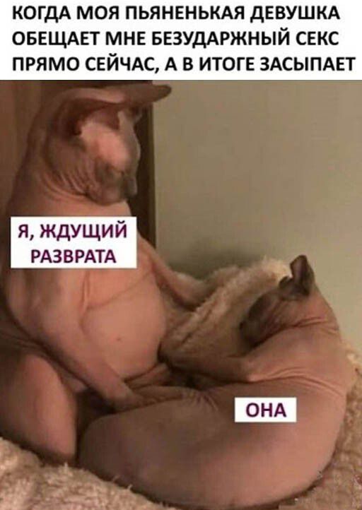 КОГДА моя пьяненькм дввушкд оввщдвт мн ввзуддржный секс ПРЯМО СЕЙЧАС А В ИТОГЕ ЗАСЫПАЕТ я ждущий РАЗВРАТА
