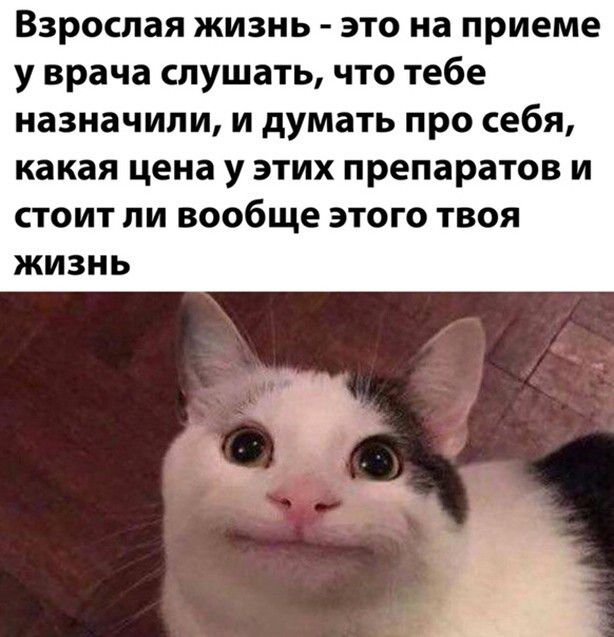 Взрослая жизнь это на приеме у врача слушать что тебе назначили и думать про себя какая цена у этих препаратов и стоит ли вообще этого твоя ЖИЗНЬ