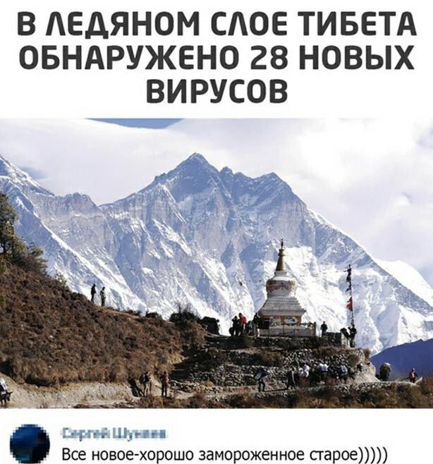 В АЕДЯНОМ САОЕ ТИБЕТА ОБНАРУЖЕНО 28 НОВЫХ ВИРУСОВ Все новое хорошо замороженное старое