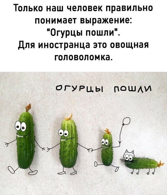 Только наш человек правильно понимает выражение Огурцы пошли Для иностранца это овощная головоломка ОГУРЦЫ ПОШАИ