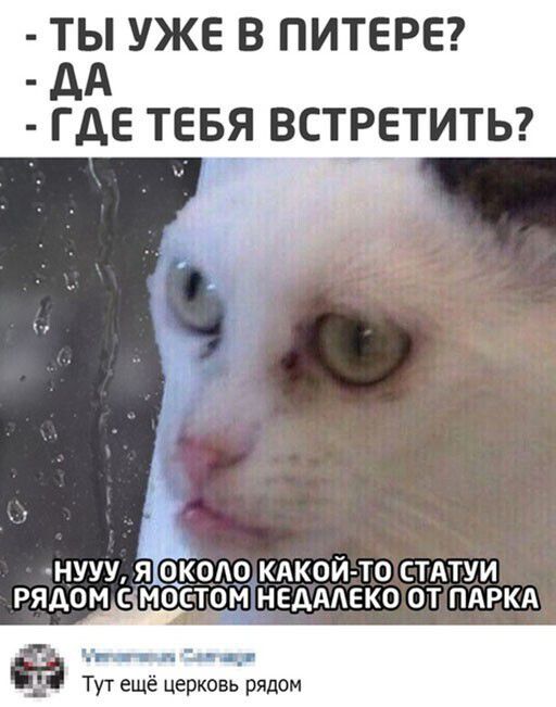 ТЫ УЖЕ В ПИТЕРЕ дд ГДЕ ТЕБЯ ВСТРЕТИТЬ нууу яіокопо кдкой то статуи рядом с м м недддеко от ПАРКА чт ___ Тут ещё церковь рядом