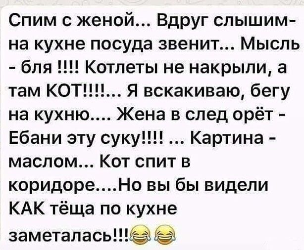 Спим с женой Вдруг слышим на кухне посуда звенит Мысль бля Котлеты не накрыли а там КОТ Я вскакиваю бегу на кухню Жена в след орёт Ебани эту суку Картина маслом Кот спит в коридореНо вы бы видели КАК тёща по кухне заметалась
