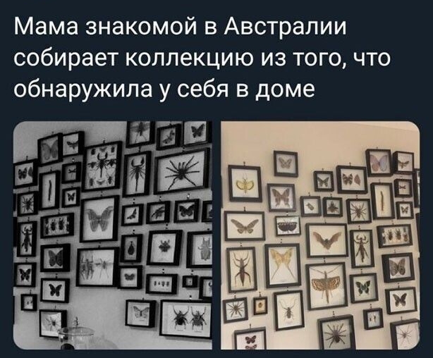 Мама знакомой в Австралии собирает коллекцию из того что обнаружила у себя в доме