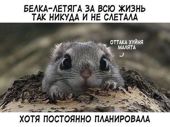 БЕАКА АЕТЯГ А ЗА ВСЮ ЖИЗНЬ ТАК НИКУАА И НЕ САЕТААА ___ оттжд хуйня _ ммяп хотя понно ПААНИРОВААА