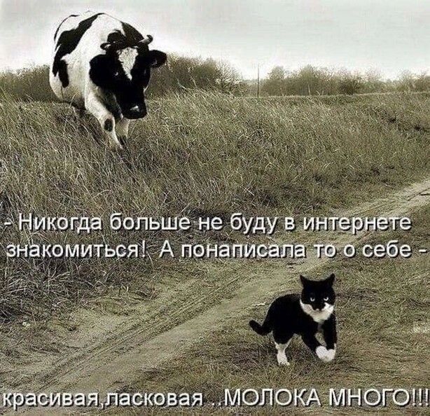адасковая _молокдмнОгош
