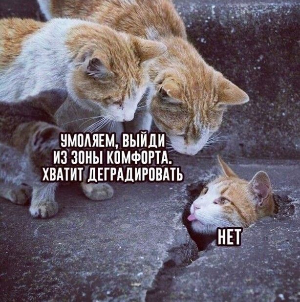 НМПЁЁЩВЫЙПЙ _ из зоны кпмфпгтд хддтитіцгдлиювдть м _Ь