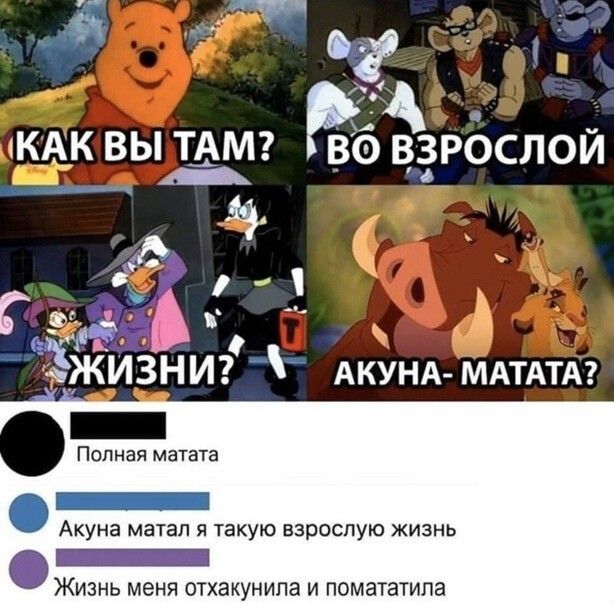 кУНА МАТАТА живи А Полная матата Акуна метал Я Такую взрослую ЖИЗНЬ _ Жизнь меня отхакунипа и помататипа