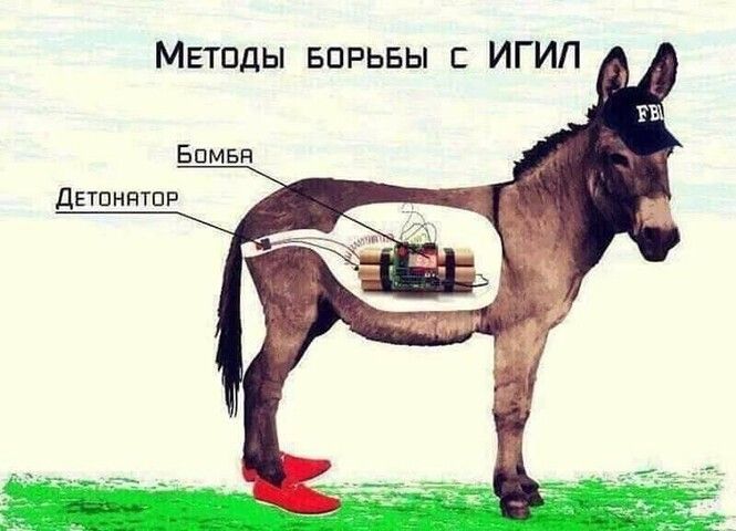 Методы впрьвы ИГИП ДЕТПНЯТПР