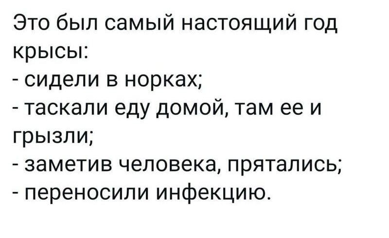 Это был самый настоящий год крысы сидели в норках таскали еду домой там ее и грызли заметив человека прятались переносили инфекцию