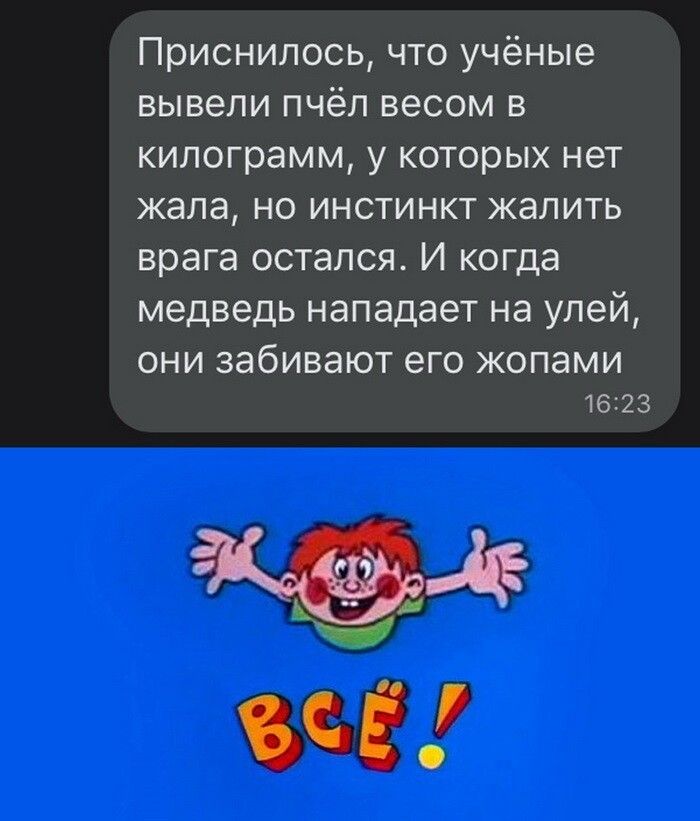 Приснилось что учёные вывели пчёл весом в килограмм у которых нет жала но инстинкт жалить врага остался И когда медведь нападает на улей они забивают его жопами вед Ч