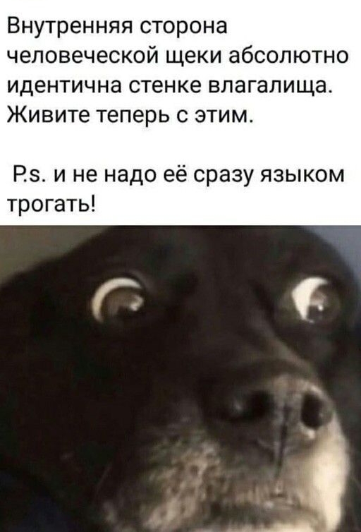 Внутренняя сторона человеческой щеки абсолютно идентична стенке влагалища Живите теперь с этим Рз и не надо её сразу языком трогать