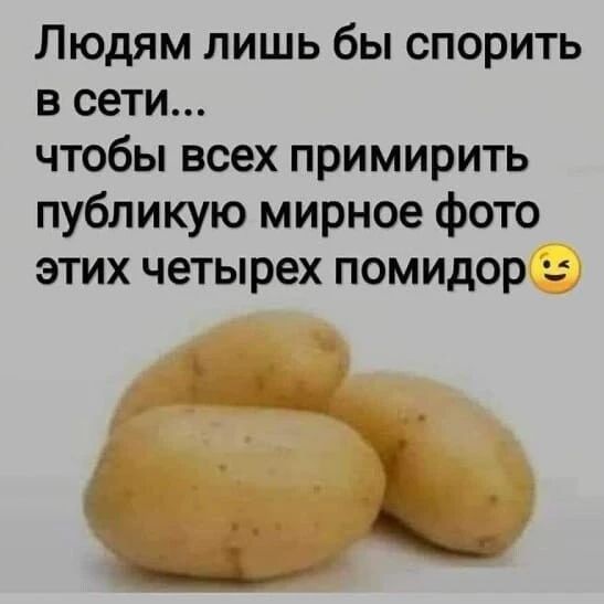 Людям лишь бы спорить в сети чтобы всех примирить публикую мирное фото этих четырех помидор