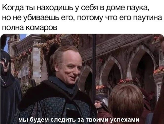 Когда ты находишь у себя в доме паука но не убиваешь его потому что его паутина полна комаров МЫ будем следить за ТВОИМИ успехами