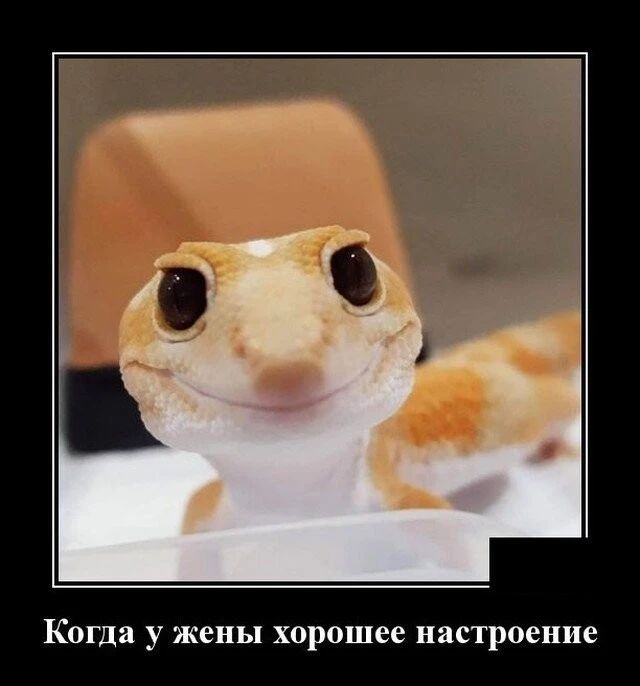 Когда у жены хорошее настроение