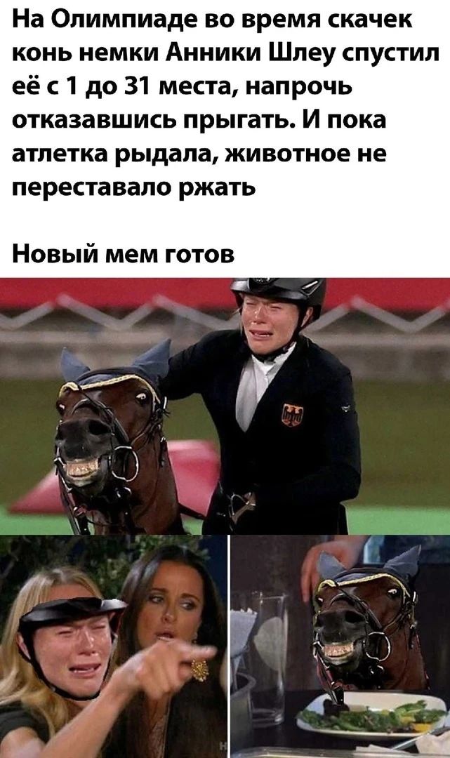На Олимпиаде во время скачек конь немки Анники Шлеу спустил её с 1 до 31 места напрочь отказавшись прыгать И пока атлетка рыдала животное не переставапо ржать Новый мем готов