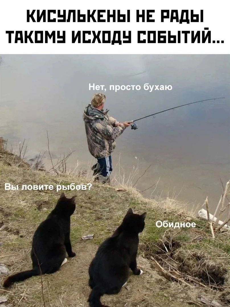 кипнльквны НЕ Ряды тдкпмн ипхпдн ппвытий
