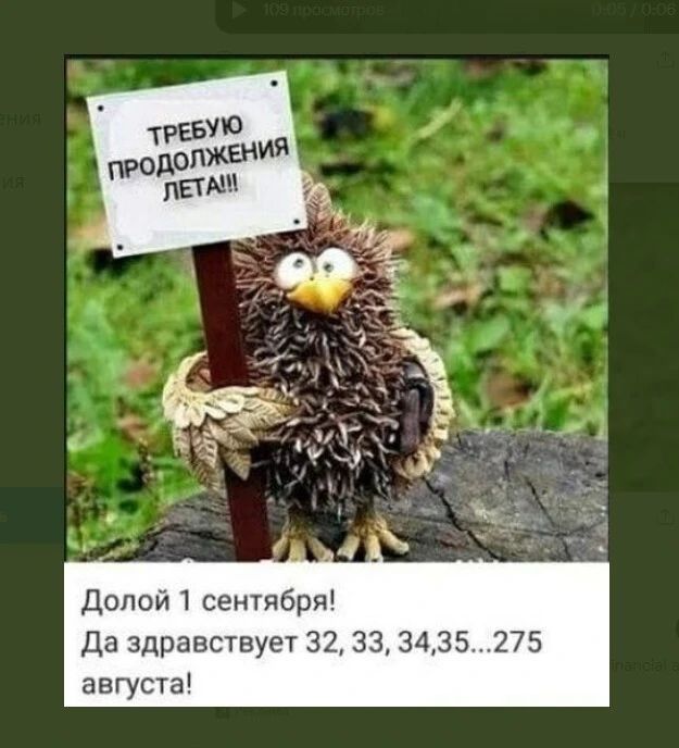 Долой 1 сентября Да здравствует 32 33 3435275 августа