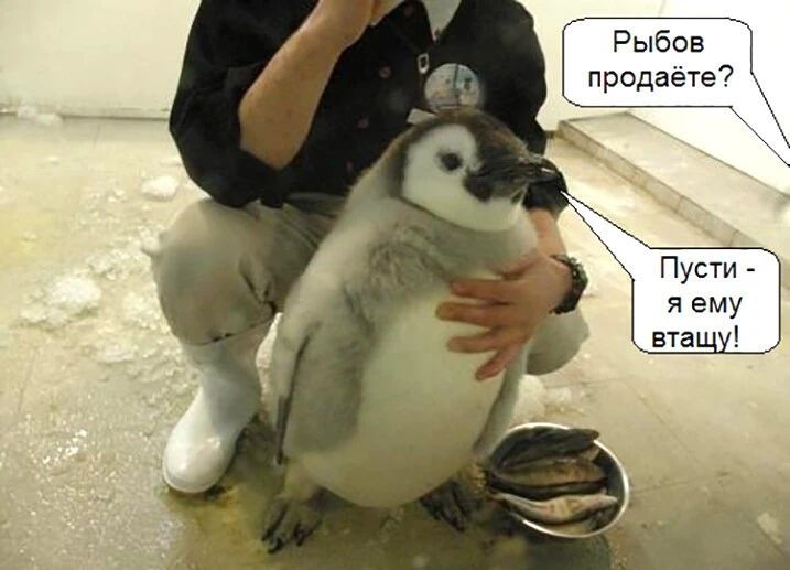 Рыбов продаёте