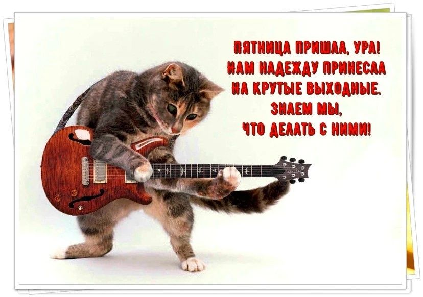 мп М тп ЦМШ Е __ ВЫХОДНЫЕ АЕ ПН ЧТ А 0