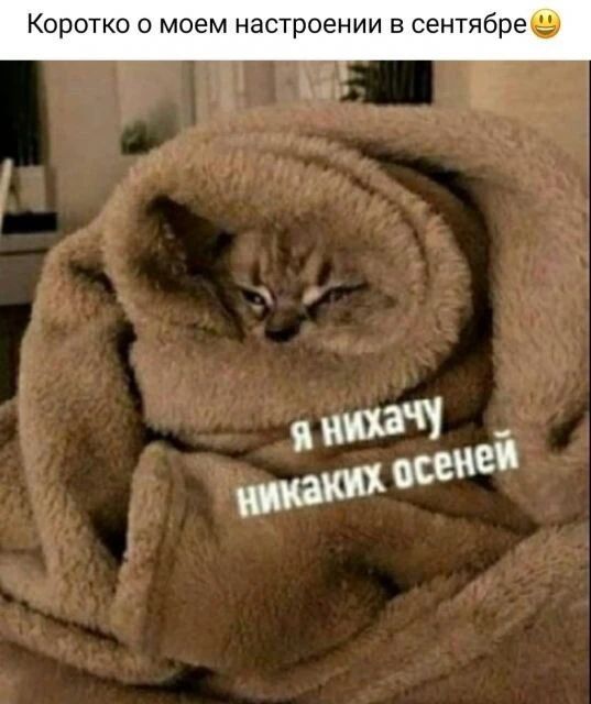 Коротко о моем настроении в сентябреа
