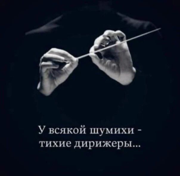 У всякой шумихи тихие дирижеры