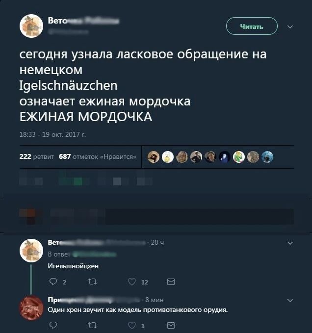 Мы___ сегодня узнала ласковое обращение на немецком 19е5сЬпёи2сЬеп означает ежиная мордочка ЕЖИНАЯ МОРДОЧКА 35 9 су гиг г ш 9 а оаэ в 20 в стае Итемы май 01 С 11 Е п _ 5 сд жрец звучит как мвд прпгившаишвшо орудия О 1 Е