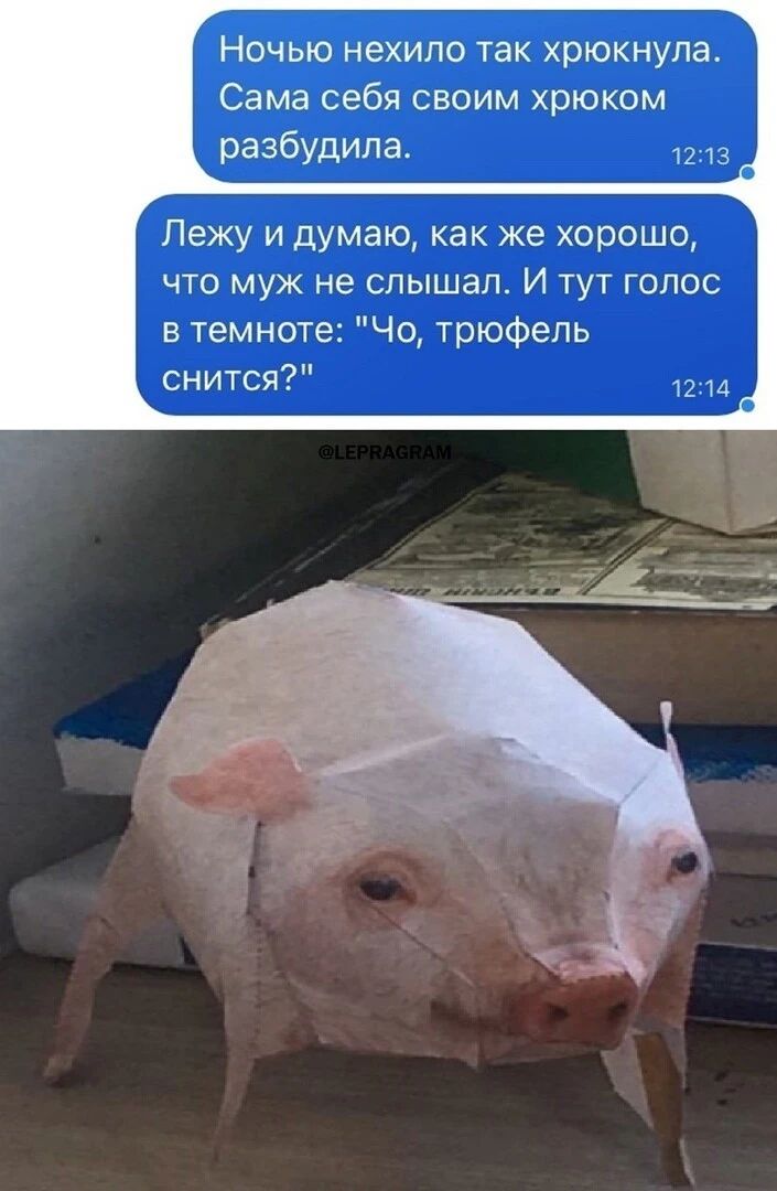 Ночью нехило так хрюкнупа Сама себя своим хрюком разбудила 1213 Лежу и думаю как же хорошо что муж не слышал И тут голос в темноте Чо трюфепь снится