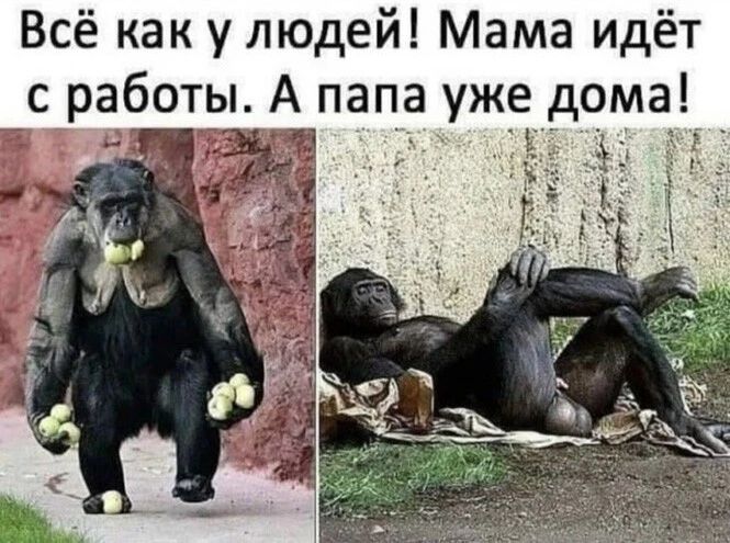 Всё как у людей Мама идёт с работы А па а уже дома