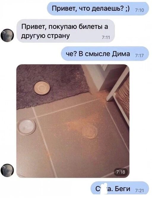 Привет что делаешь 710 Привет покупаю билеты а дРУГУЮ страну 7 11 че В смысле дима 717 С 3 Беги 721