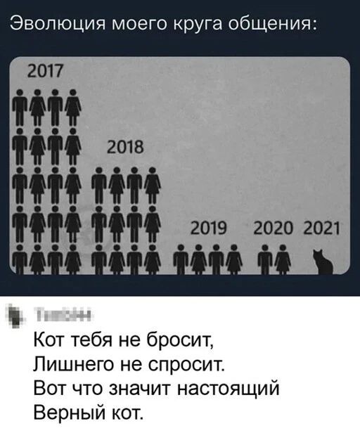 Эволюция моего круга общения 2019 2020 2021 Кот тебя не бросит Лишнего не спросит Вот что значит настоящий Верный кот