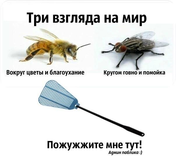 2 взгляда на мир