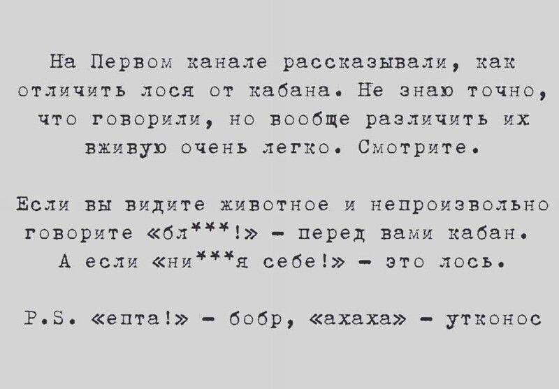 на Первом канале рассказывали как отличить лося от кабана не знаю точно что говорили но вообще различить их вживую очень легко Смотрите Если вы Видите животное и непроизвольно говорите бл перед вами кабан А если ния себе это лось РБ ента бобр ахаха утконос