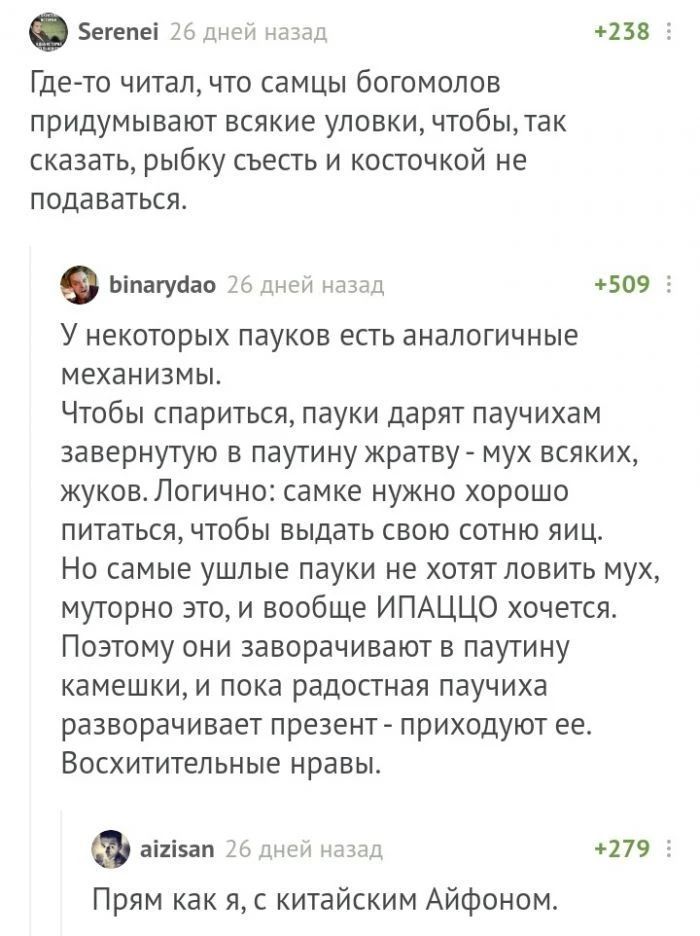 Бегепеі 25 днеи азам 238 Где то ЧИТЗЛ ЧТО СЗМЦЫ бОГОМОЛОВ ПРИДУМЫВЭЮТ ВСЯКИЕ УПОВКИ чтобытак СКЭЗЗТЬ рыбку СЪЕСТЬ И КОСТОЧКОЙ НЕ ПОДаВдТЬСЯ Ьіпагусіао 26 днеи назад 509 5 У некоторых пауков есть аналогичные механизмы Чтобы спариться пауки дарят паучихам завернутую в паутину жратву мух всяких жуковЛогично самке нужно хорошо питаться чтобы выдать свою сотню яиц Но самые ушлые пауки не хотят ловить м