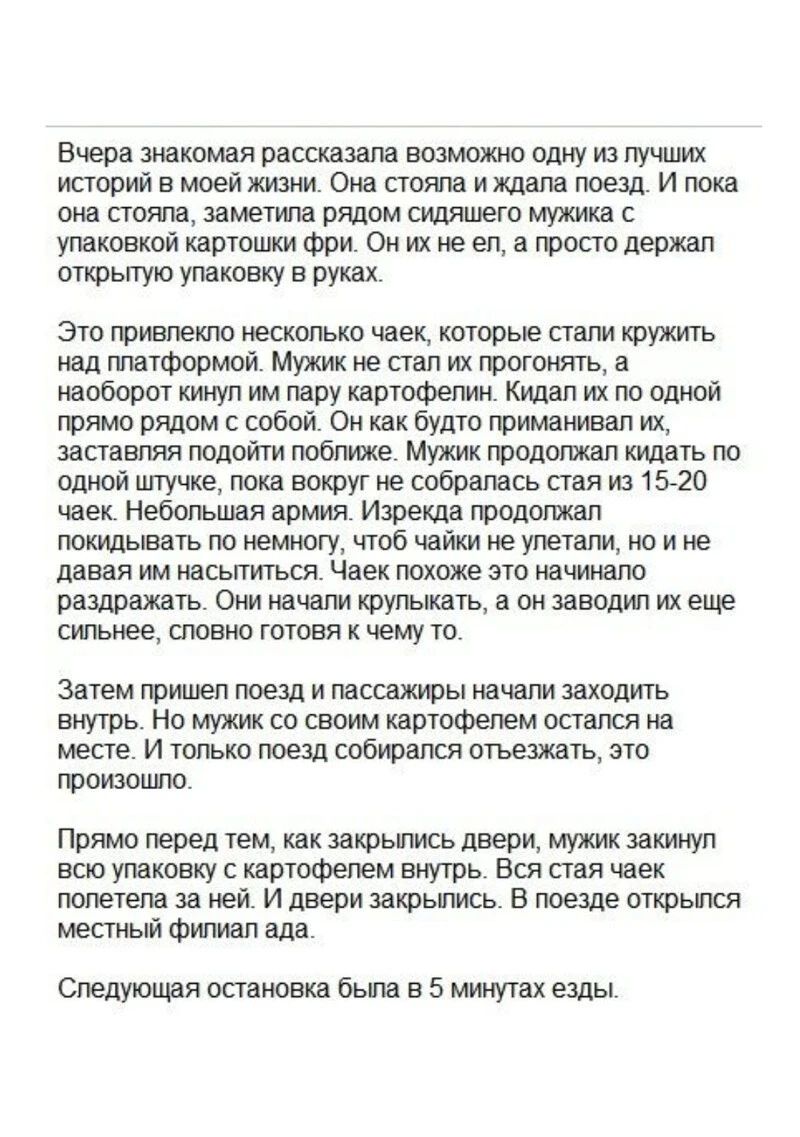 Вчера знакомая рассказала возможно одну из лучших историй в моей жизни Она стояла и ждала поезд И пока она сгояпа заметила рядом сущяшего мужика с упаковкой картошки фри Он их не ел а просто держал открьпую упаковку в руках Это привлекло несколько чаек которые стали кружить над платформой Мужик не стал их прогонять а наоборот кинул им пару картофепин Кидап их по одной прямо рядом с собой Он как бу