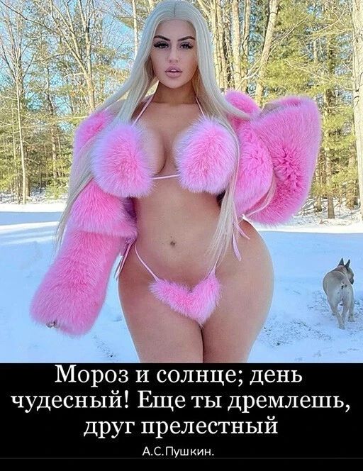 Мороз и солнце день чудесный Еще ты дремлешь друг прелестный АСПушкин