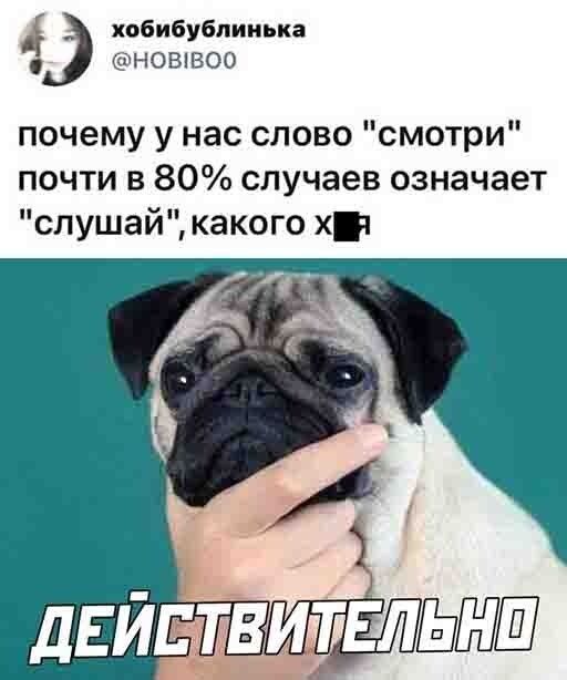Д: з хобибублинька г нов!воо почему у нас слово 