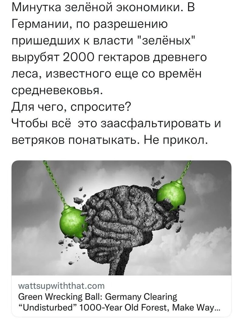 Минутка зелёной экономики В Германии по разрешению пришедших к власти зелёных вырубят 2000 гектаров древнего леса известного еще со времён средневековья Для чего спросите Чтобы всё это заасфальтировать и ветряков понатыкать Не прикол иатсзириіттратюот Эгееп АгесКіпв ВаН Оегтапу Сеагіпе ЦпсіізшгЬеЫ 1000 Уеаг 0с Рогеві МаКе ау