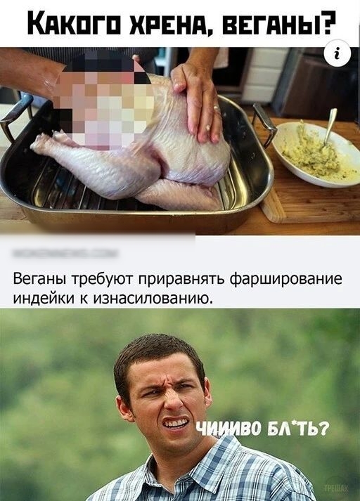 Кякпгп храня вагины щит Веганы требуют приравнять фарширование индейки к изнасиловании
