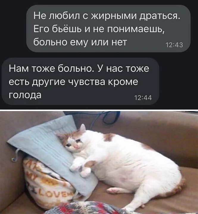 Не любил жирными драться Его бьёшь и не понимаешь больно ему или нет 1243 Нам тоже больно У нас тоже есть другие чувства кроме голода т244